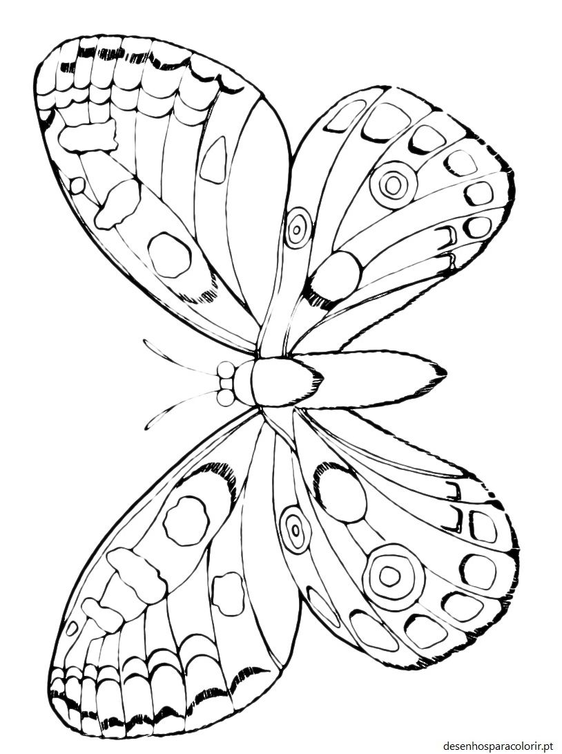 Desenhos de borboletas 40